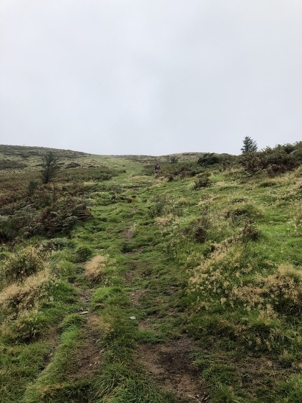 571AD600 AA0F 4DEF A88E 22C3737BA118 e1600968822154 - Walking the Coast to Coast Wainswright Route in Northern England ~ Day One