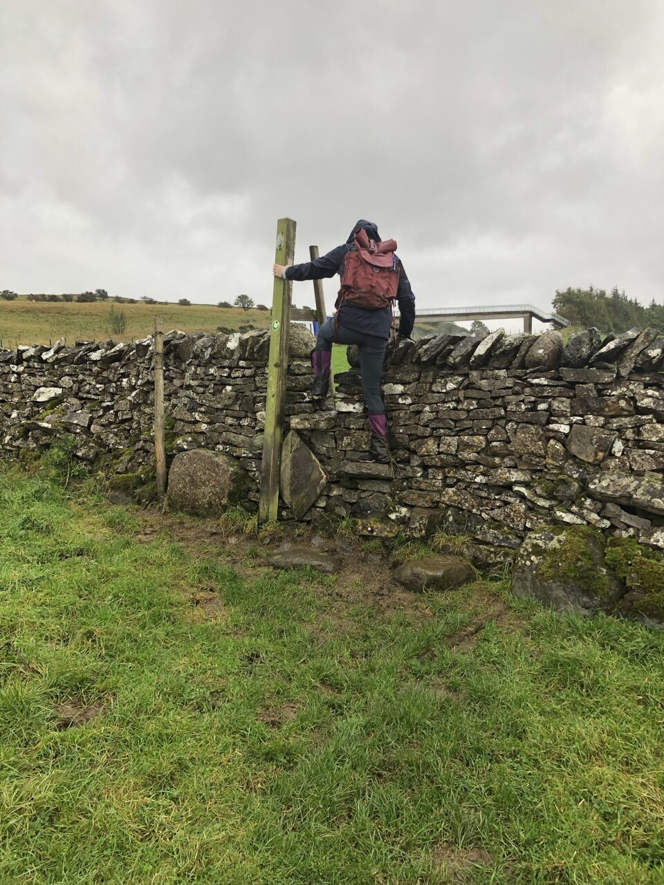 78AC99CE 1C88 4AD3 995F 3AD2860E1300 e1601327088116 - Walking the Coast to Coast Wainswright Route in Northern England ~ Day Five