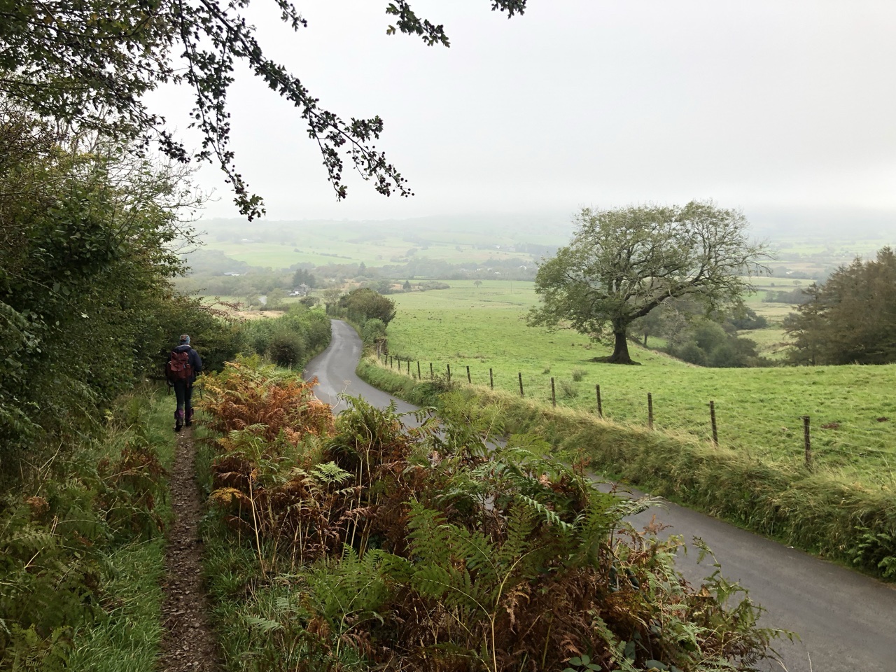 9C5D7F27 187C 4700 B0CA 0592F556A9F9 - Walking the Coast to Coast Wainswright Route in Northern England ~ Day One