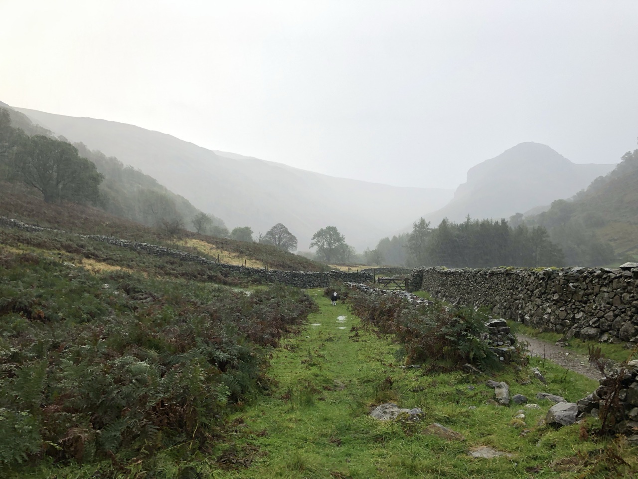 A88DECFD 6A48 42CF B7DE BBB0AE85CA9C - Walking the Coast to Coast Wainswright Route in Northern England ~ Day Three