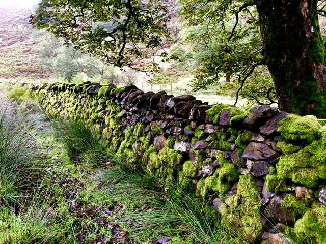 A8F86FAD 1700 4169 8C9D 6CE2EDB7E806 - Walking the Coast to Coast Wainswright Route in Northern England ~ Day One