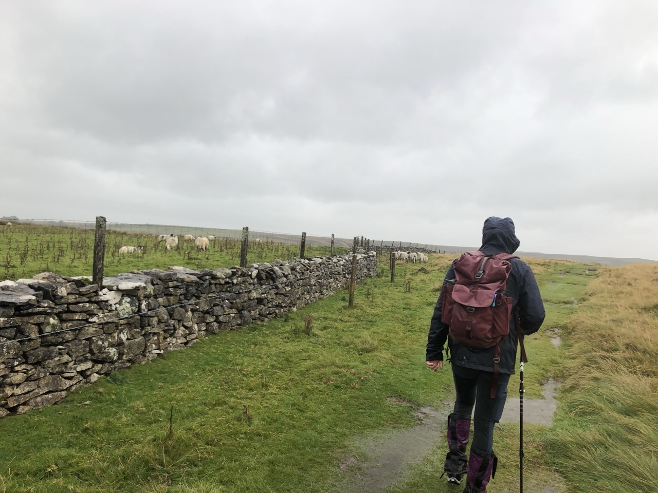 AE138B73 3B60 4B08 BB0E 4E25207CE851 - Walking the Coast to Coast Wainswright Route in Northern England ~ Day Five