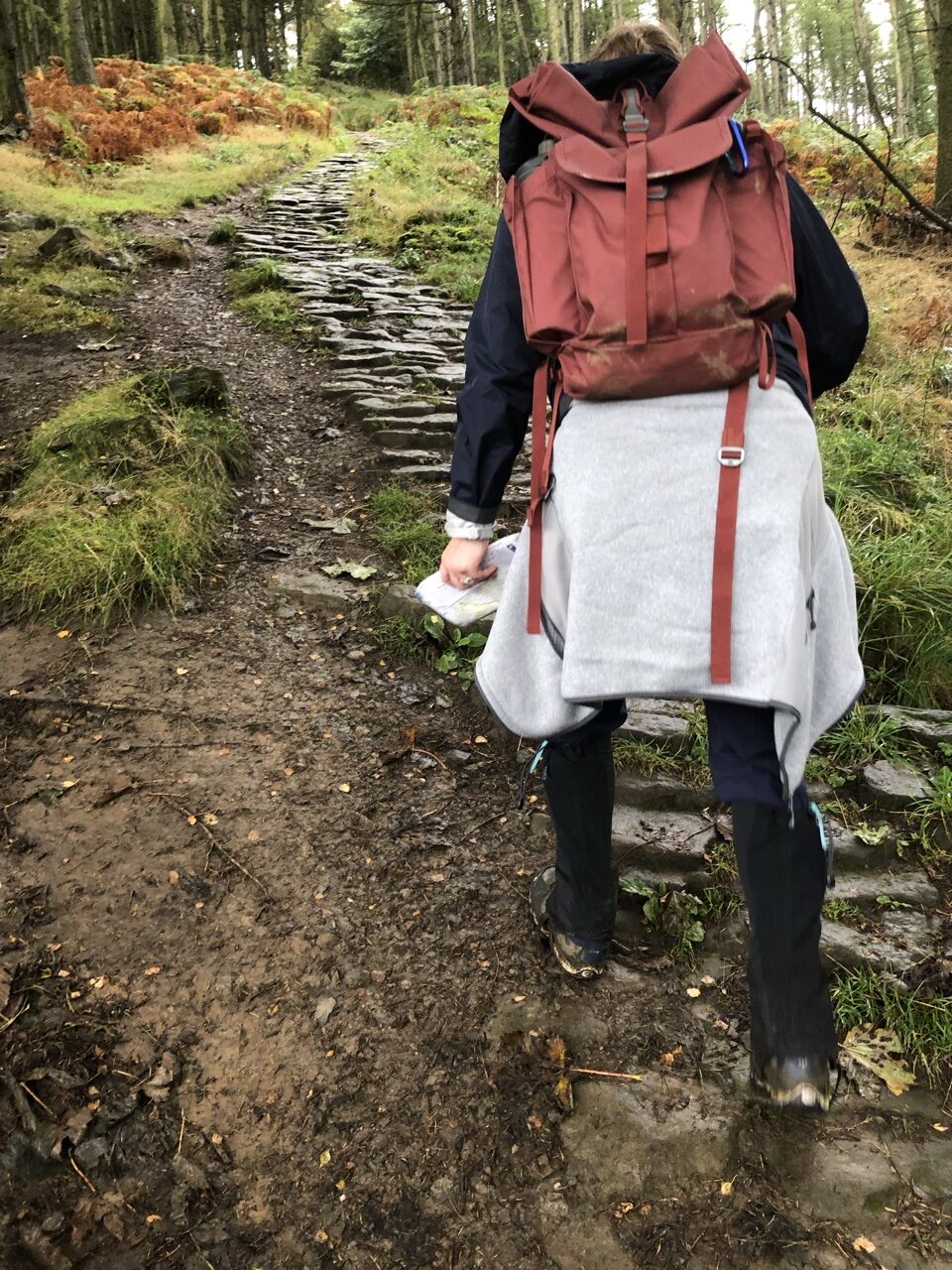 4731F616 798C 4446 8DC2 7B5BDBF1F33A e1601933419896 - Walking the Coast to Coast Wainswright Route in Northern England ~ Day Twelve