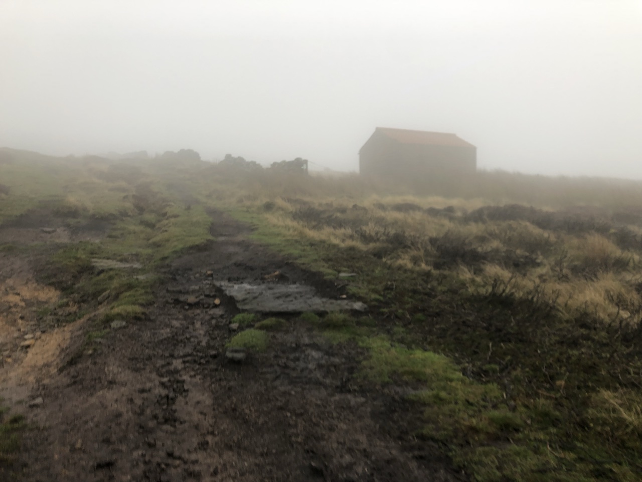 76BCEC7F 8C7E 4413 B6B3 6134870C2C84 - Walking the Coast to Coast Wainswright Route in Northern England ~ Day Thirteen