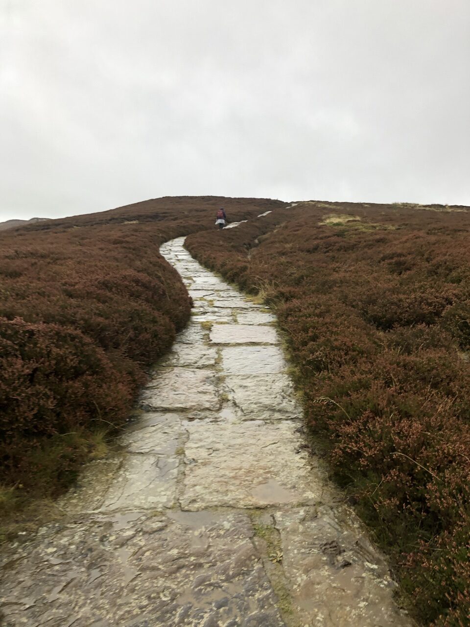 E0CF5AED B9CE 47C4 8D68 BD55CE6D0426 e1601933674634 - Walking the Coast to Coast Wainswright Route in Northern England ~ Day Twelve