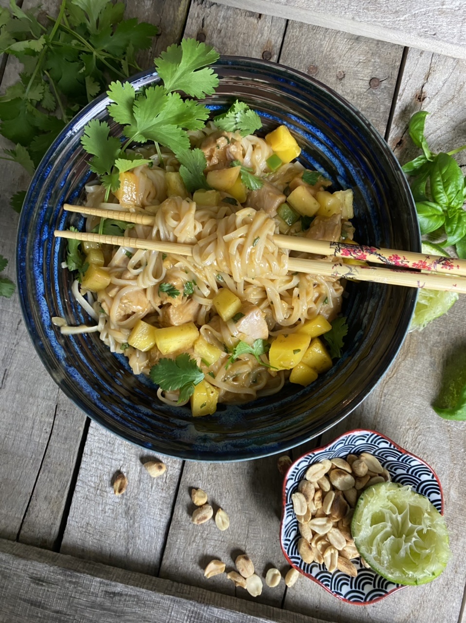 DDCBF64E B1BC 4134 84AC 0A4CC38F3FC5 - Thai Peanut Chicken Rice Noodles with Spicy Mango Salsa